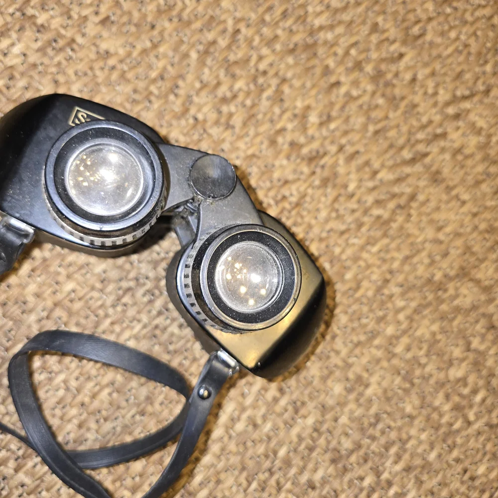 Sears Black and Gray Binoculars